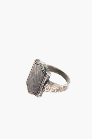 Silver BEETLE FRAME Ring