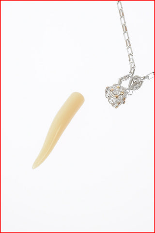 Collana in Argento con Pendente