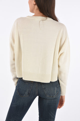 Cropped Sweater LUREXY with Lurex Embroidery