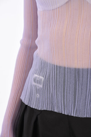 Sheer Ribbed Top