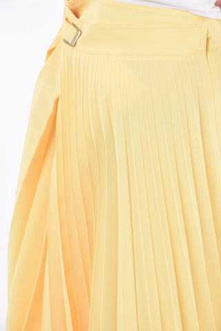 Asymmetrical Accordion Skirt
