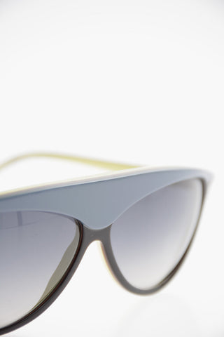 Oval Frame Sunglasses with Faded Lenses