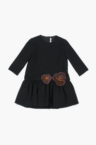 Embroidered Dress