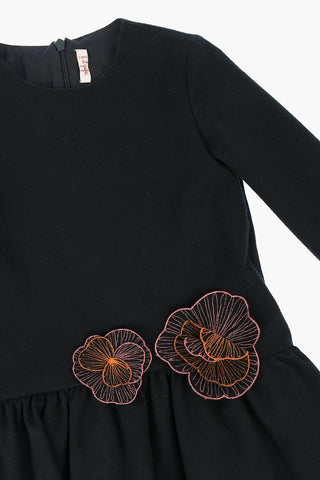 Embroidered Dress
