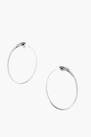 Brass Earrings