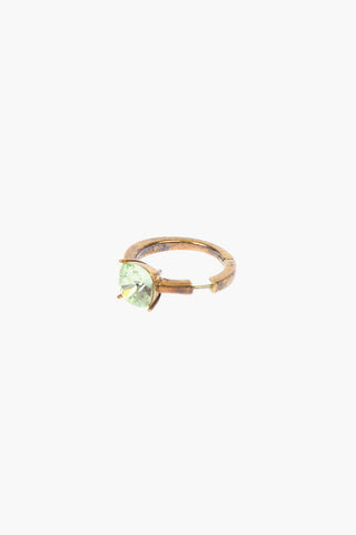 Earring with Jewel