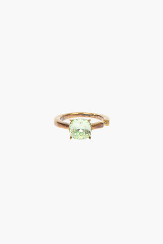 Earring with Jewel