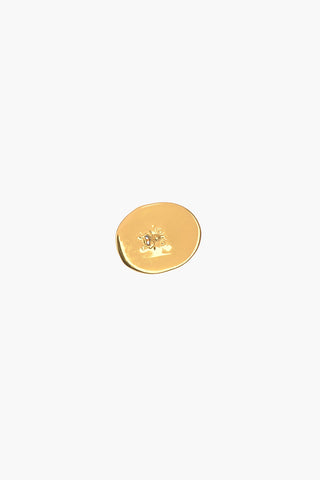 ANTIC FACE Brooch